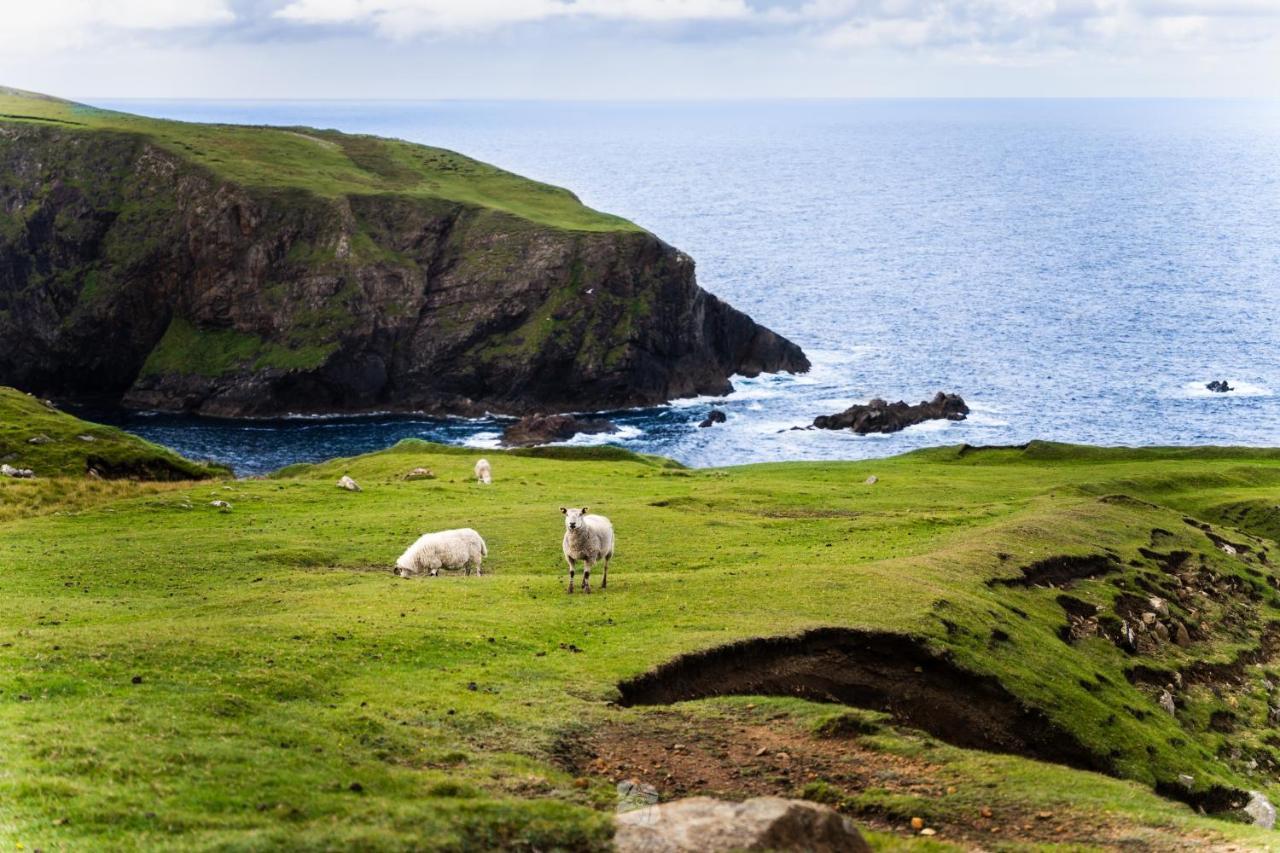 Arranmore Glamping Aphort Eksteriør billede